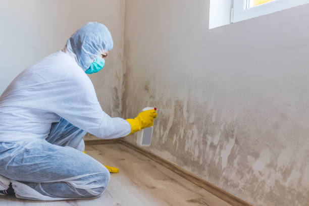 Hvac And Air Duct Mold Remediation inspection of HVAC system in Wantagh
